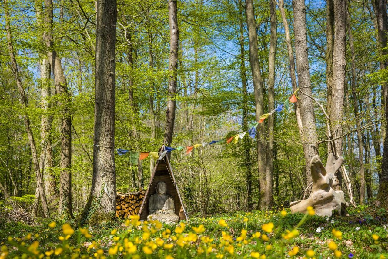 Gites Du Bois Des Perruches Saint-Vincent-des-Bois Εξωτερικό φωτογραφία