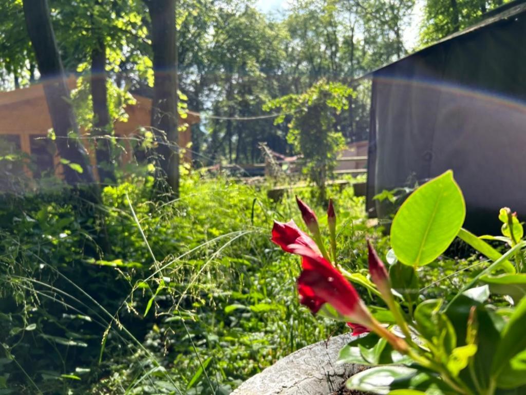 Gites Du Bois Des Perruches Saint-Vincent-des-Bois Εξωτερικό φωτογραφία