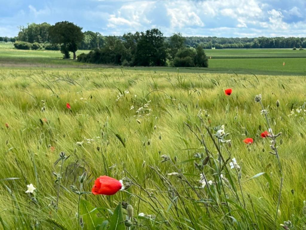 Gites Du Bois Des Perruches Saint-Vincent-des-Bois Εξωτερικό φωτογραφία